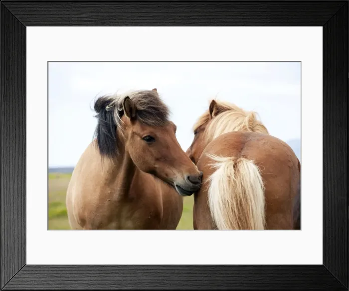Framed Print : Picture No. 10983967 Framed Print : Picture No. 10983967