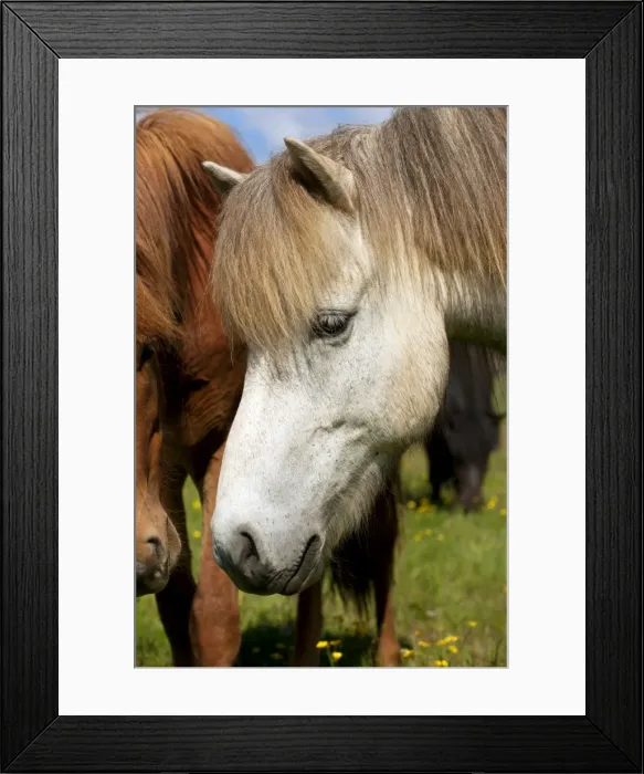 Framed Print : Picture No. 10983956