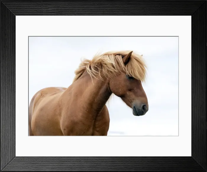 Framed Print : Picture No. 10983964 Framed Print : Picture No. 10983964