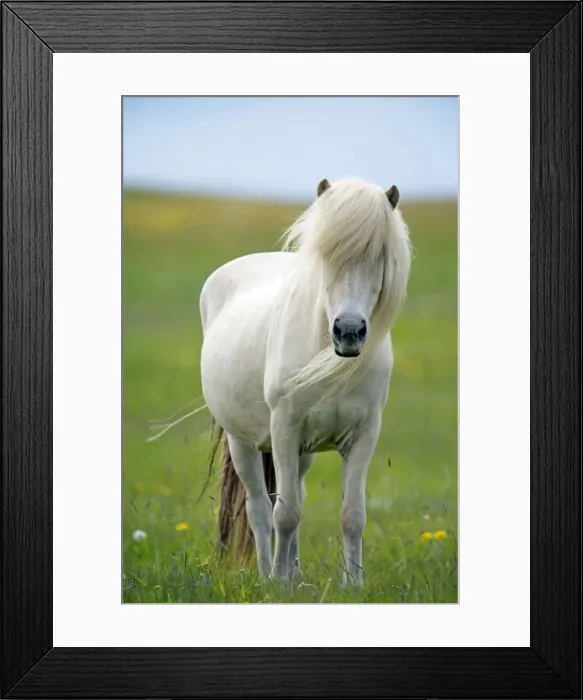 Framed Print : Picture No. 10983968 Framed Print : Picture No. 10983968