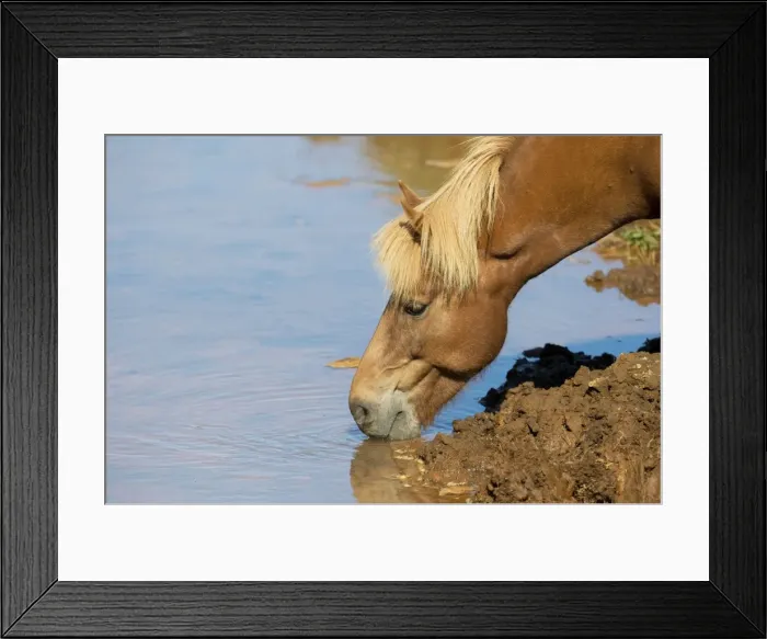 Framed Print : Picture No. 10983970 Framed Print : Picture No. 10983970