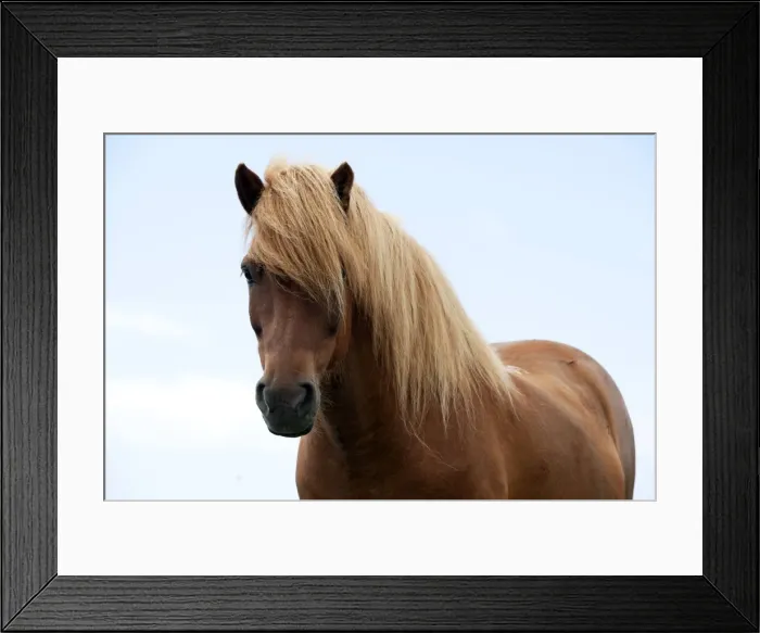 Framed Print : Picture No. 10983966 Framed Print : Picture No. 10983966