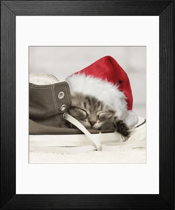 Framed Print : Picture No. 10983973