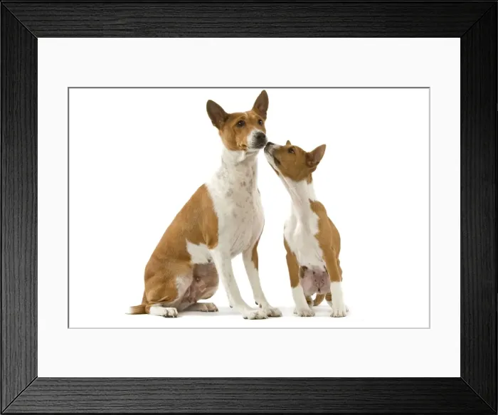 Framed Print : Picture No. 10983976 Framed Print : Picture No. 10983976
