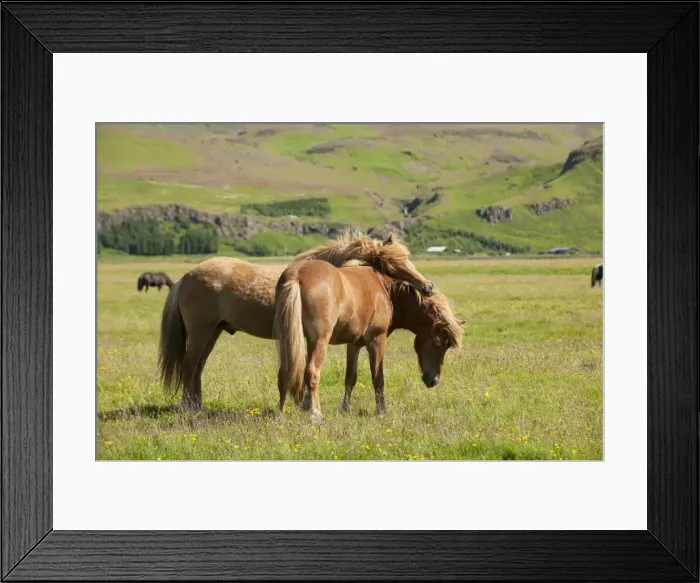 Framed Print : Picture No. 10983971 Framed Print : Picture No. 10983971