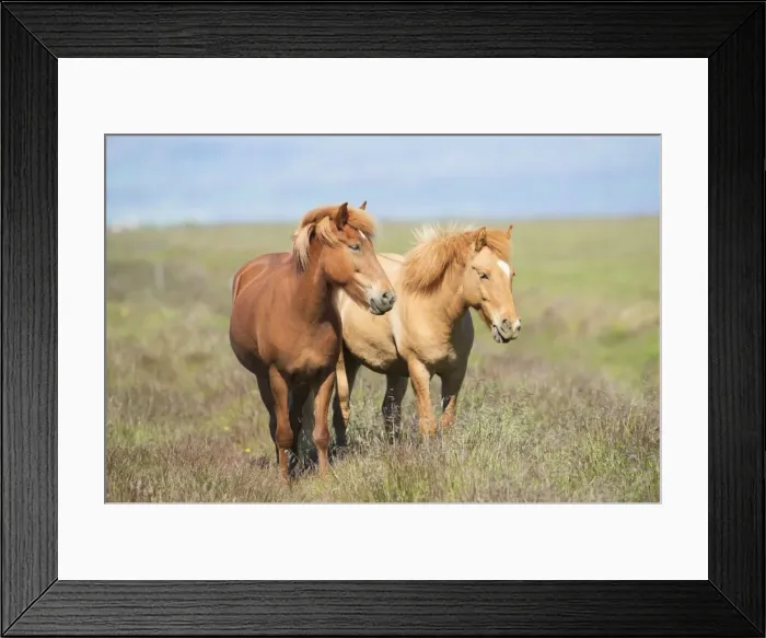 Framed Print : Picture No. 10983969 Framed Print : Picture No. 10983969