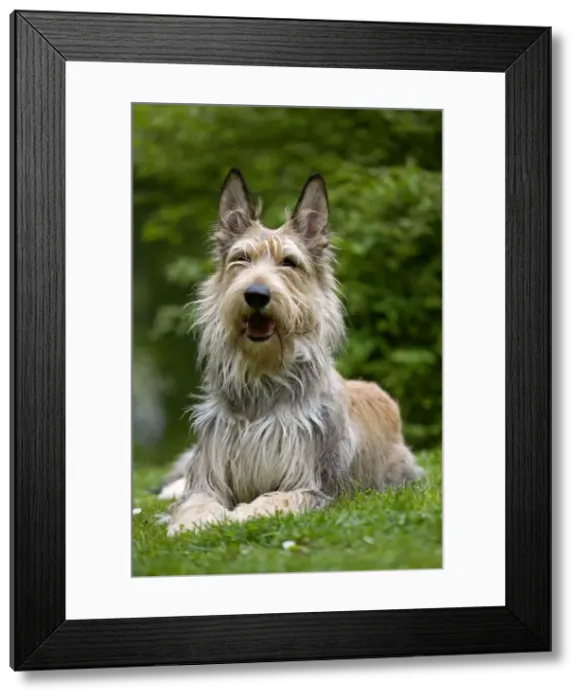 Framed Print : Picture No. 10983980 Framed Print : Picture No. 10983980