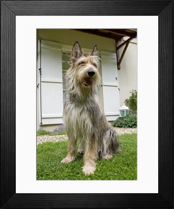Framed Print : Picture No. 10983979 Framed Print : Picture No. 10983979