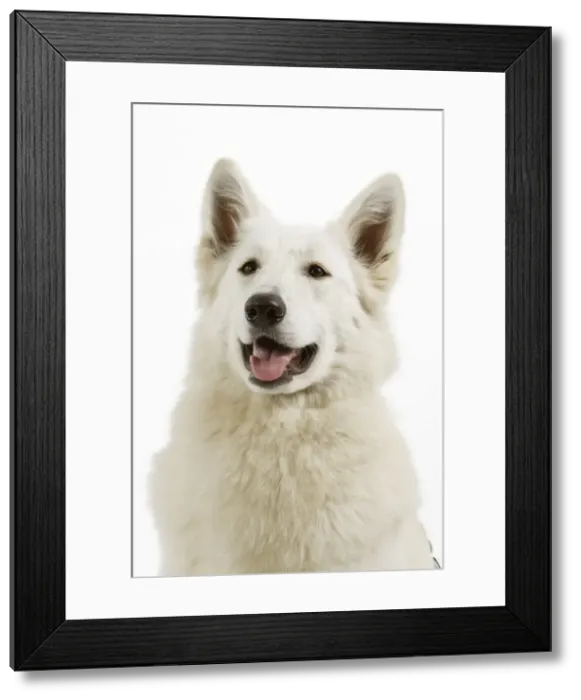 Framed Print : Picture No. 10983985 Framed Print : Picture No. 10983985
