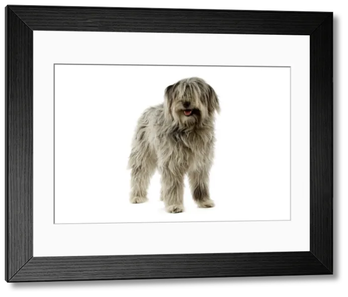Framed Print : Picture No. 10983989 Framed Print : Picture No. 10983989