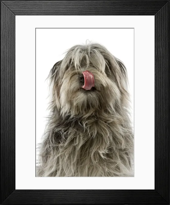 Framed Print : Picture No. 10983988 Framed Print : Picture No. 10983988