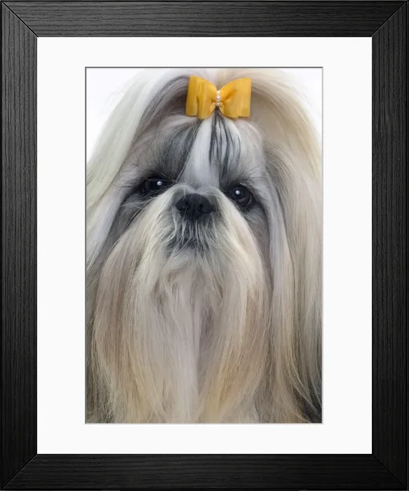 Framed Print : Picture No. 10984040 Framed Print : Picture No. 10984040