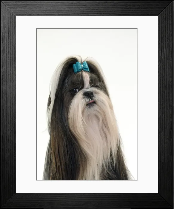 Framed Print : Picture No. 10984045 Framed Print : Picture No. 10984045