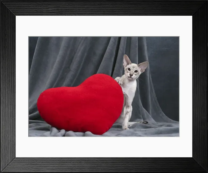 Framed Print : Picture No. 10984180 Framed Print : Picture No. 10984180