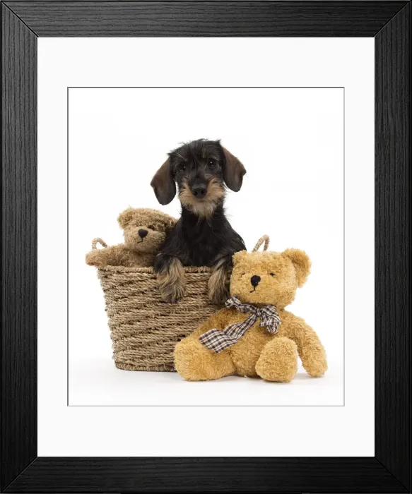 Framed Print : Picture No. 10984183 Framed Print : Picture No. 10984183