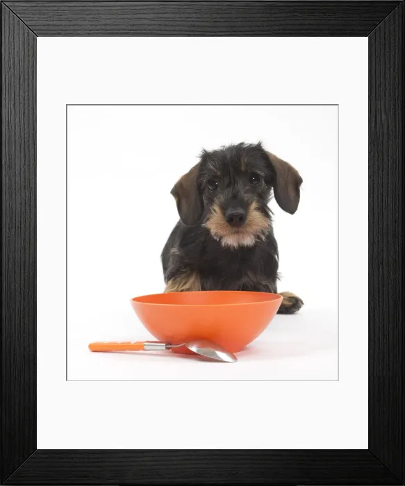 Framed Print : Picture No. 10984185 Framed Print : Picture No. 10984185