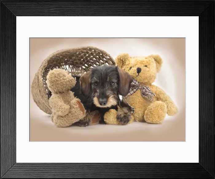 Framed Print : Picture No. 10984184 Framed Print : Picture No. 10984184