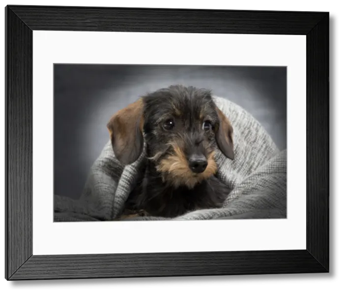 Framed Print : Picture No. 10984187 Framed Print : Picture No. 10984187