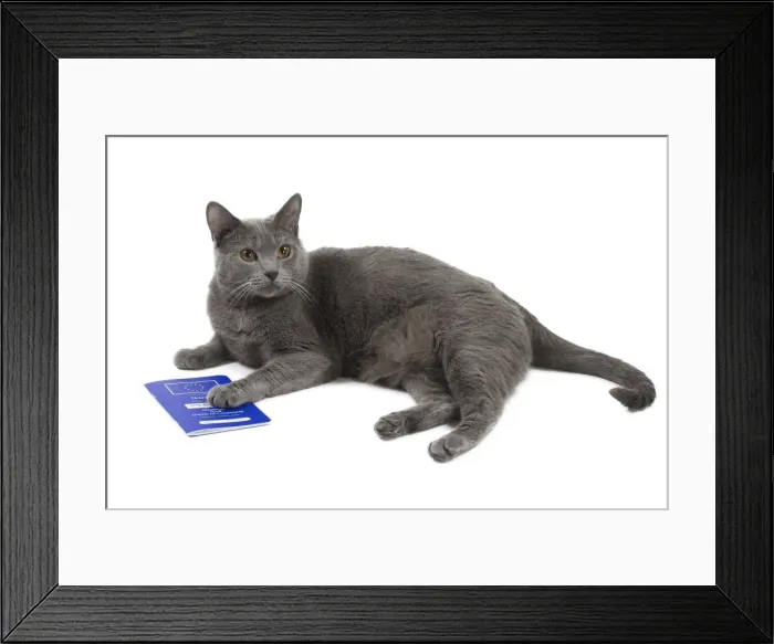 Framed Print : Picture No. 10984200 Framed Print : Picture No. 10984200
