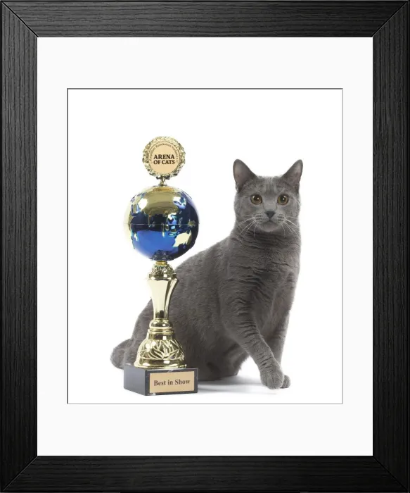 Framed Print : Picture No. 10984202 Framed Print : Picture No. 10984202