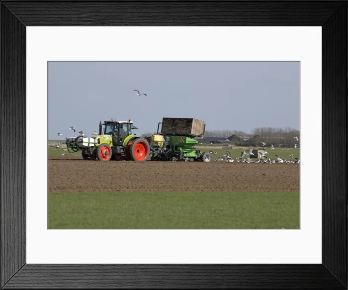 Framed Print : Picture No. 10984384 Framed Print : Picture No. 10984384