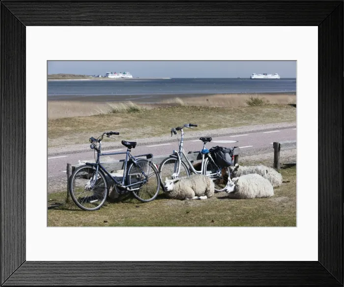 Framed Print : Picture No. 10984401 Framed Print : Picture No. 10984401