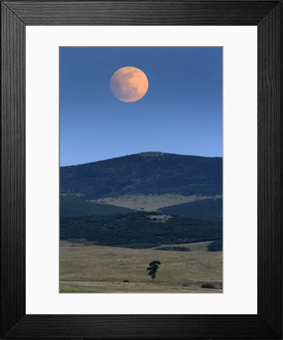 Framed Print : Picture No. 10984444 Framed Print : Picture No. 10984444