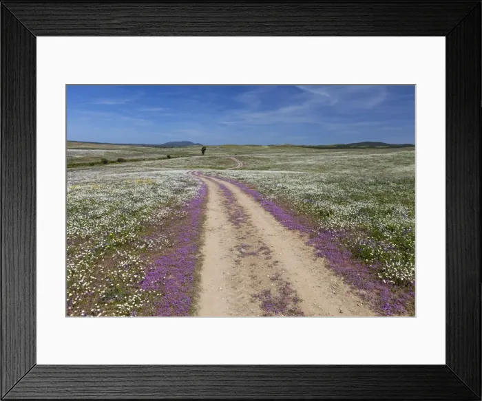 Framed Print : Picture No. 10984490 Framed Print : Picture No. 10984490