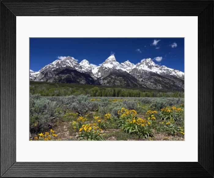 Framed Print : Picture No. 10984506 Framed Print : Picture No. 10984506
