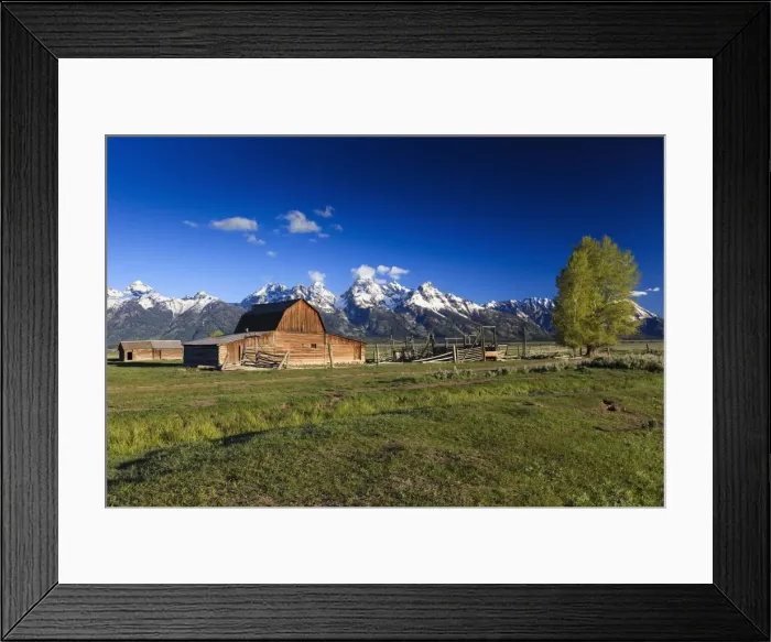 Framed Print : Picture No. 10984503 Framed Print : Picture No. 10984503
