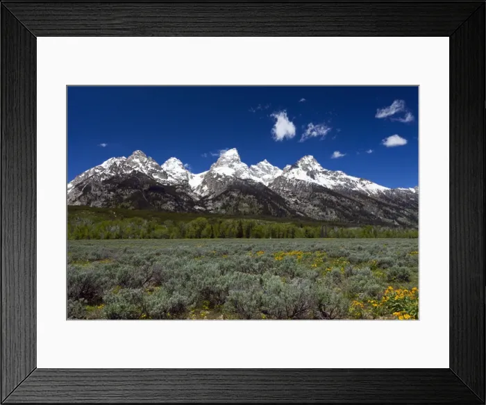 Framed Print : Picture No. 10984507 Framed Print : Picture No. 10984507