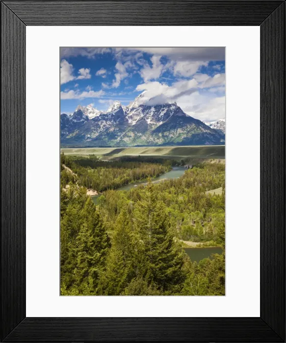 Framed Print : Picture No. 10984515