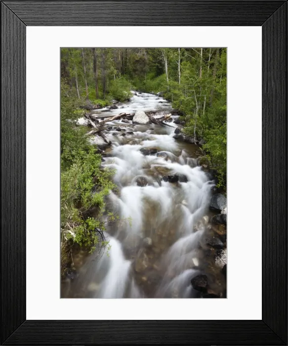 Framed Print : Picture No. 10984512 Framed Print : Picture No. 10984512