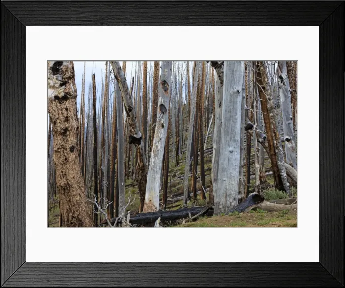 Framed Print : Picture No. 10984534 Framed Print : Picture No. 10984534