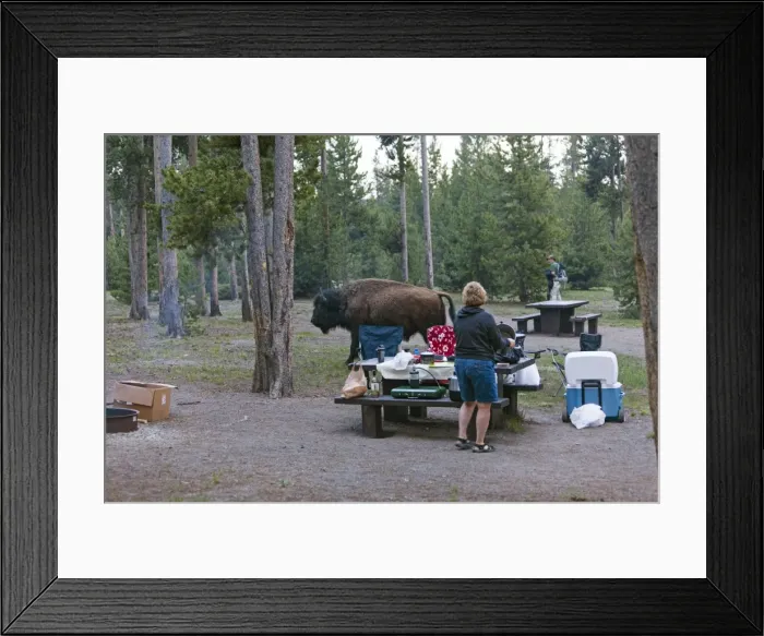 Framed Print : Picture No. 10984538 Framed Print : Picture No. 10984538