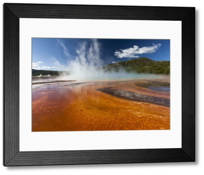 Framed Print : Picture No. 10984541 Framed Print : Picture No. 10984541
