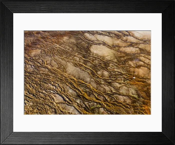 Framed Print : Picture No. 10984539 Framed Print : Picture No. 10984539