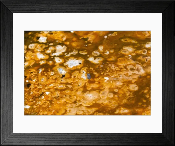 Framed Print : Picture No. 10984551 Framed Print : Picture No. 10984551
