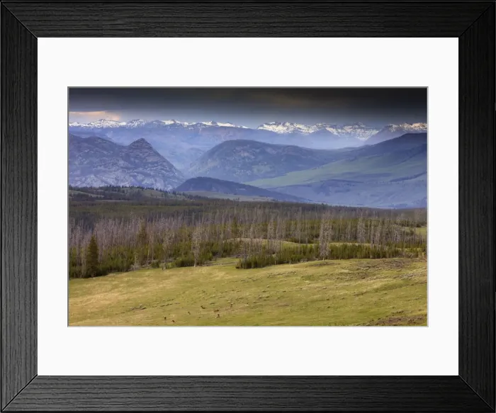 Framed Print : Picture No. 10984571 Framed Print : Picture No. 10984571