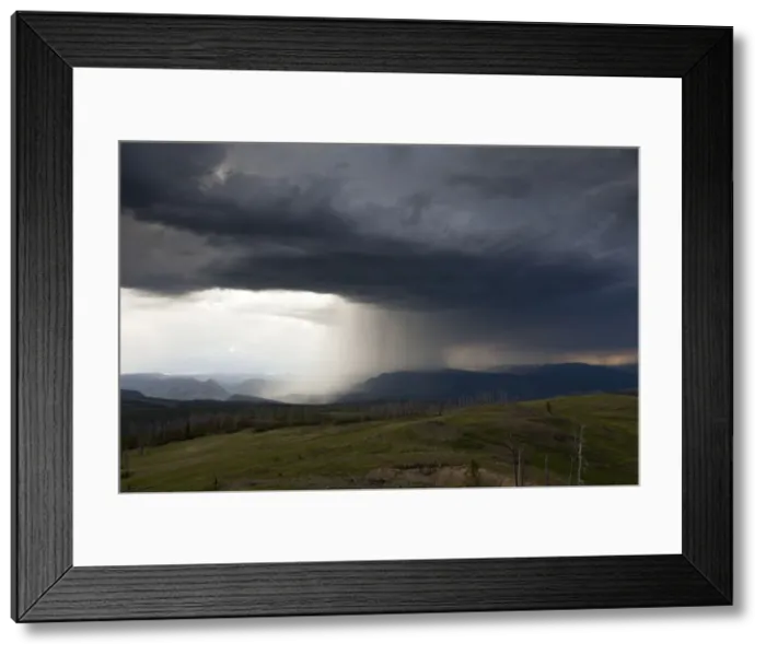 Framed Print : Picture No. 10984569 Framed Print : Picture No. 10984569