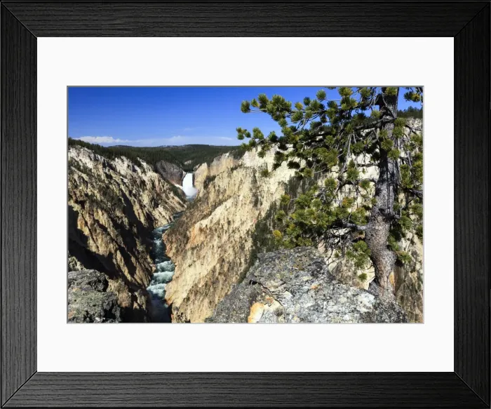 Framed Print : Picture No. 10984573 Framed Print : Picture No. 10984573