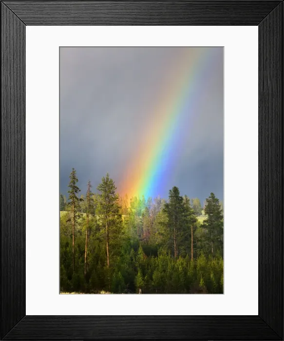 Framed Print : Picture No. 10984580 Framed Print : Picture No. 10984580