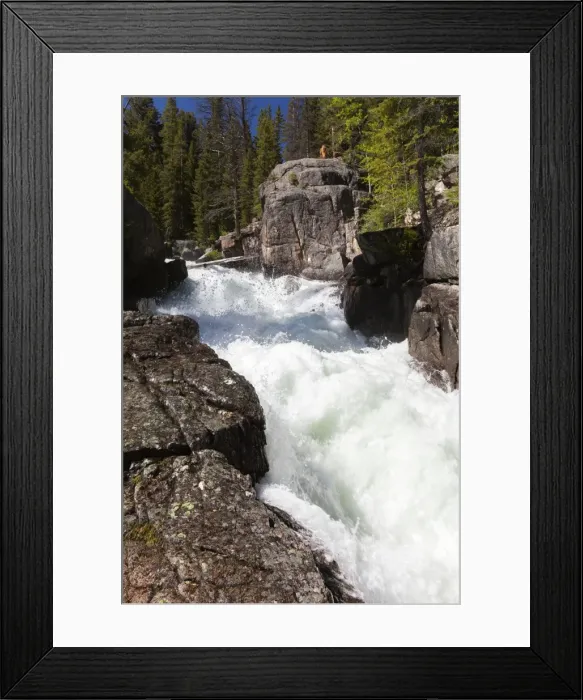 Framed Print : Picture No. 10984581