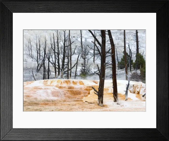 Framed Print : Picture No. 10984585 Framed Print : Picture No. 10984585