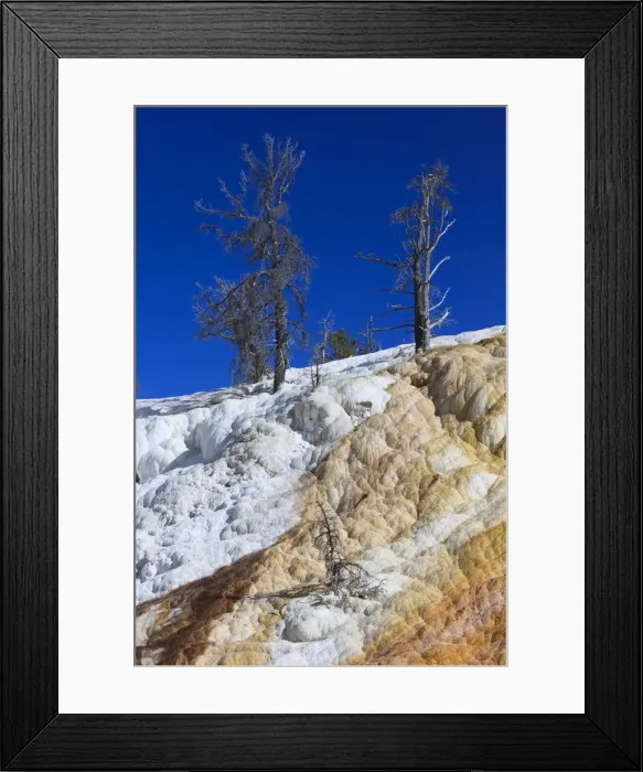 Framed Print : Picture No. 10984586 Framed Print : Picture No. 10984586