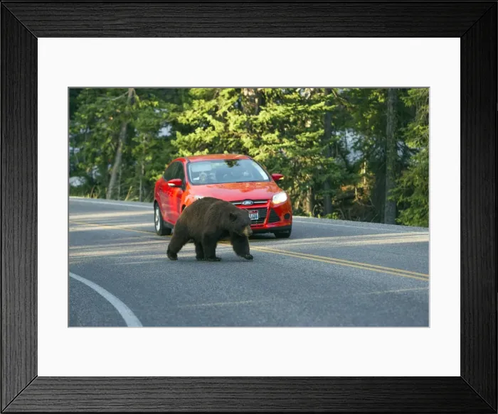 Framed Print : Picture No. 10984602 Framed Print : Picture No. 10984602