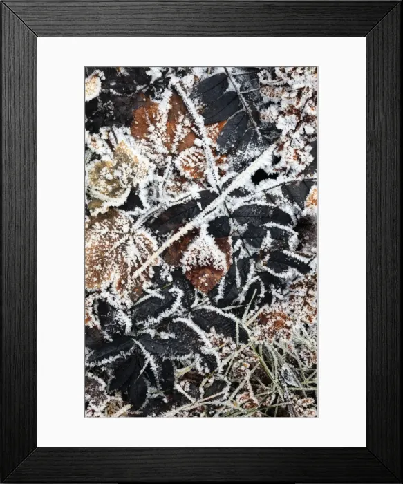 Framed Print : Picture No. 10984630 Framed Print : Picture No. 10984630