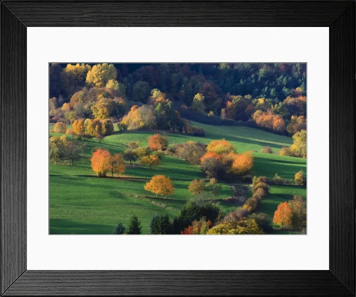 Framed Print : Picture No. 10984632 Framed Print : Picture No. 10984632