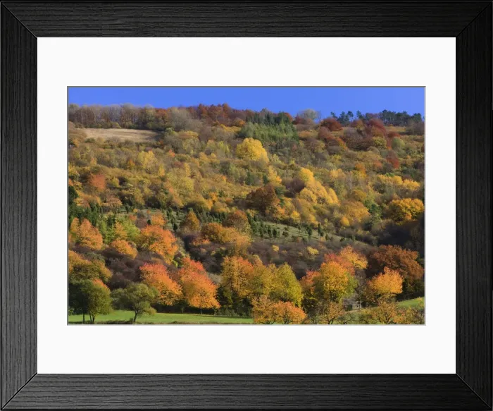 Framed Print : Picture No. 10984631 Framed Print : Picture No. 10984631