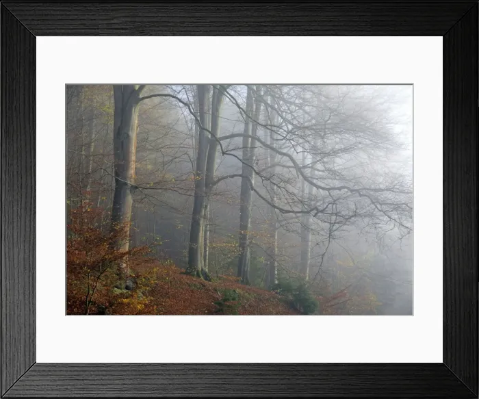 Framed Print : Picture No. 10984636 Framed Print : Picture No. 10984636